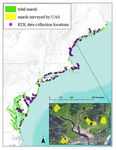 Tidal Wetlands after Hurricane Sandy: Baseline restoration assessment and future conservation planning