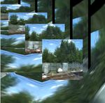 Blue Dragon, White Tiger: The Paradox of Flux and Flow in Sound Art and Martial Arts Portfolio of Compositions
