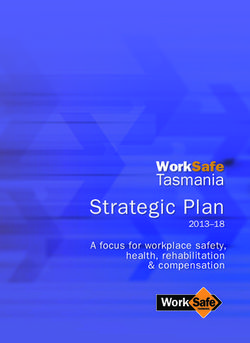 Strategic Plan Tasmania WorkSafe - A focus for workplace safety, health, rehabilitation & compensation