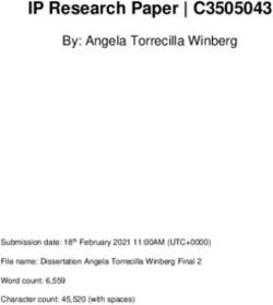 IP Research Paper | C3505043 - By: Angela Torrecilla Winberg - Ibiza Kurier