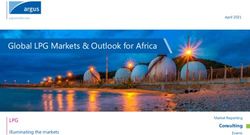 Global LPG Markets & Outlook for Africa - LPG Consulting - ARDA | African Refiners ...
