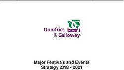Major Festivals and Events Strategy 2018 2021 - Dumfries ...