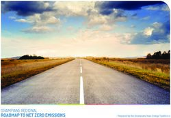 ROADMAP TO NET ZERO EMISSIONS - GRAMPIANS REGIONAL Prepared by the Grampians New Energy Taskforce - GNET