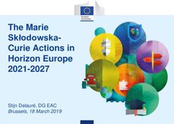 The Marie Skłodowska-Curie Actions in Horizon Europe 2021-2027 - Stijn Delauré, DG EAC Brussels, 18 March 2019