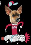 Rules A technology challenge - for elementary students - R&eacute;seau technoscience