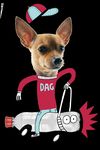 Rules A technology challenge - for elementary students - R&eacute;seau technoscience
