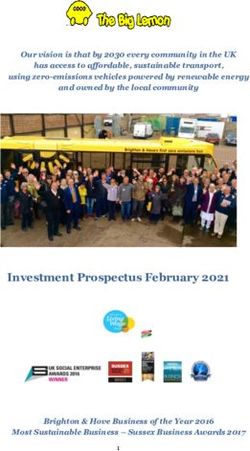 Investment Prospectus February 2021 - The Big Lemon