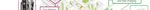 Wellington Region Electric Vehicle Working Group - Greater Wellington Regional ...