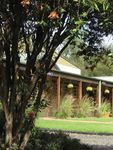 2021 HUNTER VALLEY HORSE & WINE "STALLION" TOUR - October 10-14, 2021 - October 2021
