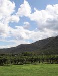 2021 HUNTER VALLEY HORSE & WINE "STALLION" TOUR - October 10-14, 2021 - October 2021