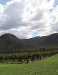 2021 HUNTER VALLEY HORSE & WINE "STALLION" TOUR - October 10-14, 2021 - October 2021