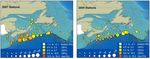 RECOVERY POTENTIAL ASSESSMENT FOR PORBEAGLE