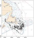 RECOVERY POTENTIAL ASSESSMENT FOR PORBEAGLE