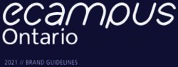 2021 // BRAND GUIDELINES - eCampusOntario
