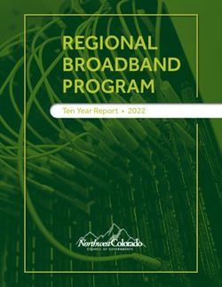REGIONAL BROADBAND PROGRAM - Ten Year Report 2022