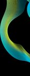 The State of the Deal and Deloitte Queensland Index - November 2020
