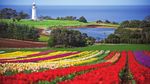 Spring Garden Exploration of Tasmania - You are invited to join Deryn Thorpe on Travelrite International's 2022