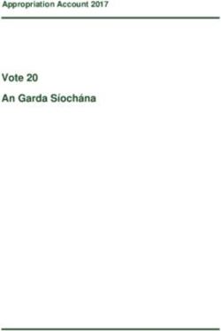 Vote 20 An Garda Síochána - Appropriation Account 2017 - Office of the Comptroller and Auditor ...