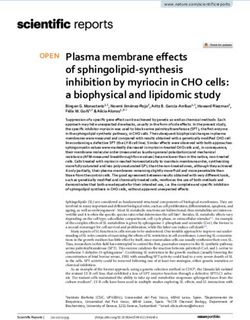 Plasma membrane effects of sphingolipid synthesis inhibition by myriocin in CHO cells: a biophysical and lipidomic study