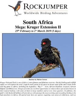South Africa Mega: Kruger Extension II - 25th February to 1st March 2019 (5 days) - Rockjumper Birding Tours