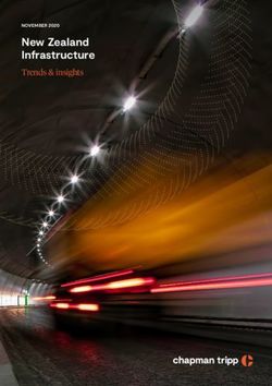 New Zealand Infrastructure - Trends & insights NOVEMBER 2020 - Chapman Tripp