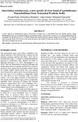 Aborichthys uniobarensis, a new species of river loach Cypriniformes