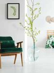 Natural & healthy interior environments - Baumit UK