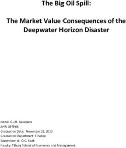 The Big Oil Spill: The Market Value Consequences of the Deepwater Horizon Disaster - University of Tilburg