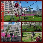 Biochars and benefits to soils and plants, J&auml;tk&auml;saari demo area - Priit Tammeorg AgriChar research group