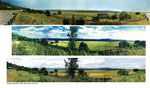 Columbia River Gorge Commission Data Review - GETTING OUR DATA HOUSE IN ORDER Jessica Gist