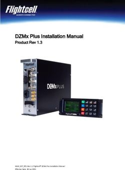 DZMx Plus Installation Manual - Product Rev 1.3 - Dallas Avionics