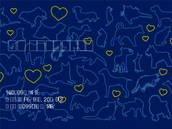 Swedencare Presentation CEO H&aring;kan Lagerberg CFO Jenny Graflind