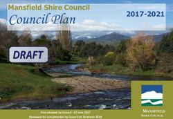 Council Plan Mansfield Shire Council 2017-2021 - MANSFIELD - Essential Services ...