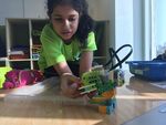 AL MAMOURA ACADEMY MIDDLE SCHOOL PROSPECTUS 2020-2021