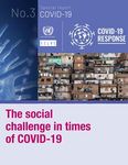 UN-GGIM Virtual Seminar Series COVID-19: Strategies for a Geospatial Response in the Americas