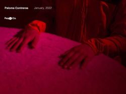 Paloma Contreras January, 2022 - Webflow