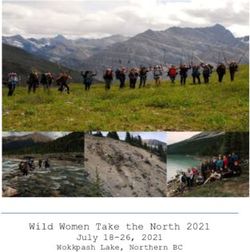 Wild Women Take the North 2021 July 18-26, 2021 Wokkpash Lake, Northern BC - Northern Rockies Fitness