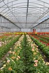Media leader horticultural - Sun Gro Horticulture
