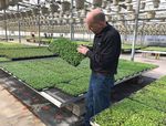 Media leader horticultural - Sun Gro Horticulture