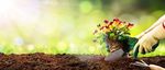 Media leader horticultural - Sun Gro Horticulture