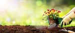 Media leader horticultural - Sun Gro Horticulture
