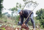 TRILLION TREES REFOREST FUND - 2021 REPORT TURNING PLEDGES INTO ACTION