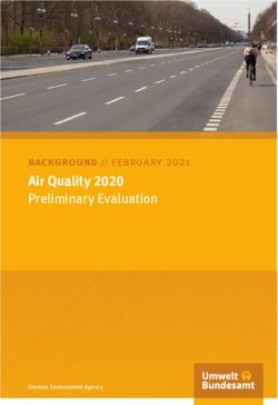 Air Quality 2020 Preliminary Evaluation - Umweltbundesamt