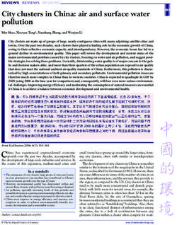 City clusters in China: air and surface water pollution