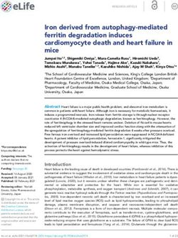 Iron derived from autophagy-mediated ferritin degradation induces cardiomyocyte death and heart failure in mice - eLife