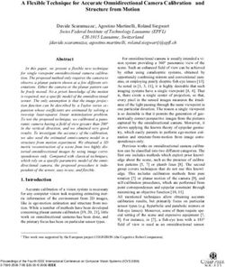 A Flexible Technique for Accurate Omnidirectional Camera Calibration and Structure from Motion