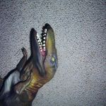 MST: Masked Self-Supervised Transformer for Visual Representation