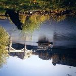 MST: Masked Self-Supervised Transformer for Visual Representation