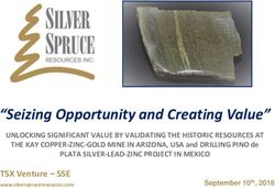 "Seizing Opportunity and Creating Value" - Silver Spruce Resources