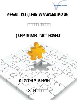 Veterinary Ireland Strategic Plan 2010 - 2015 "From Vision to Delivery" - Mid-Term Review June 2013